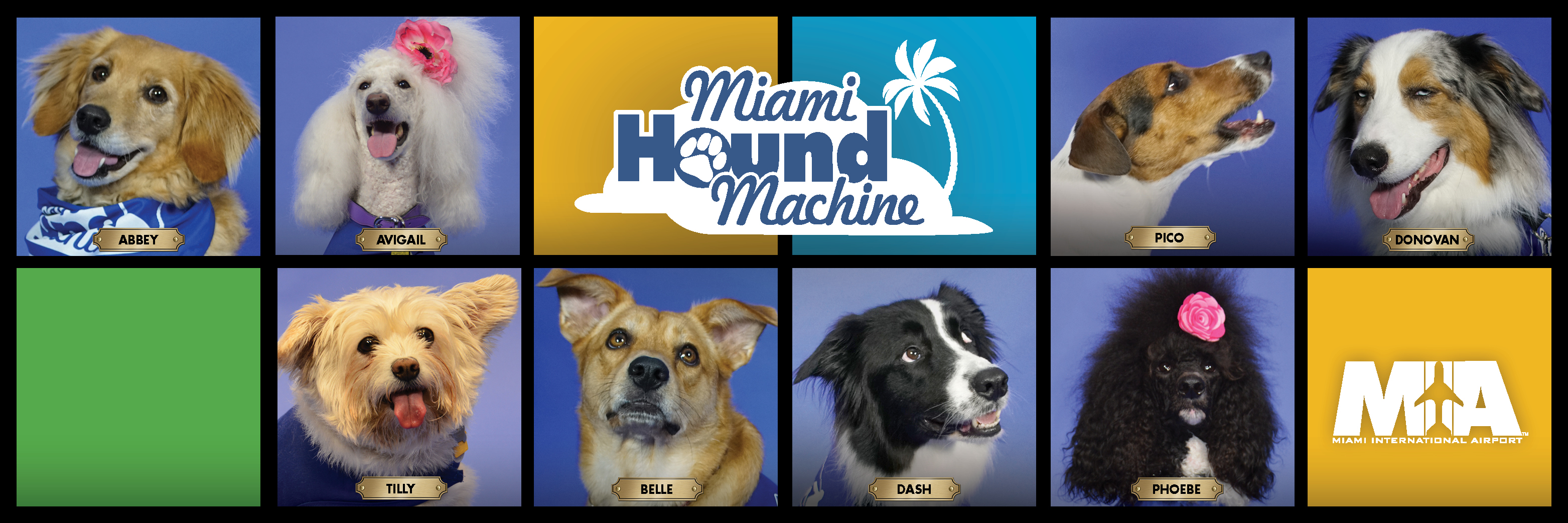 Miami Hound Machine Members Banner